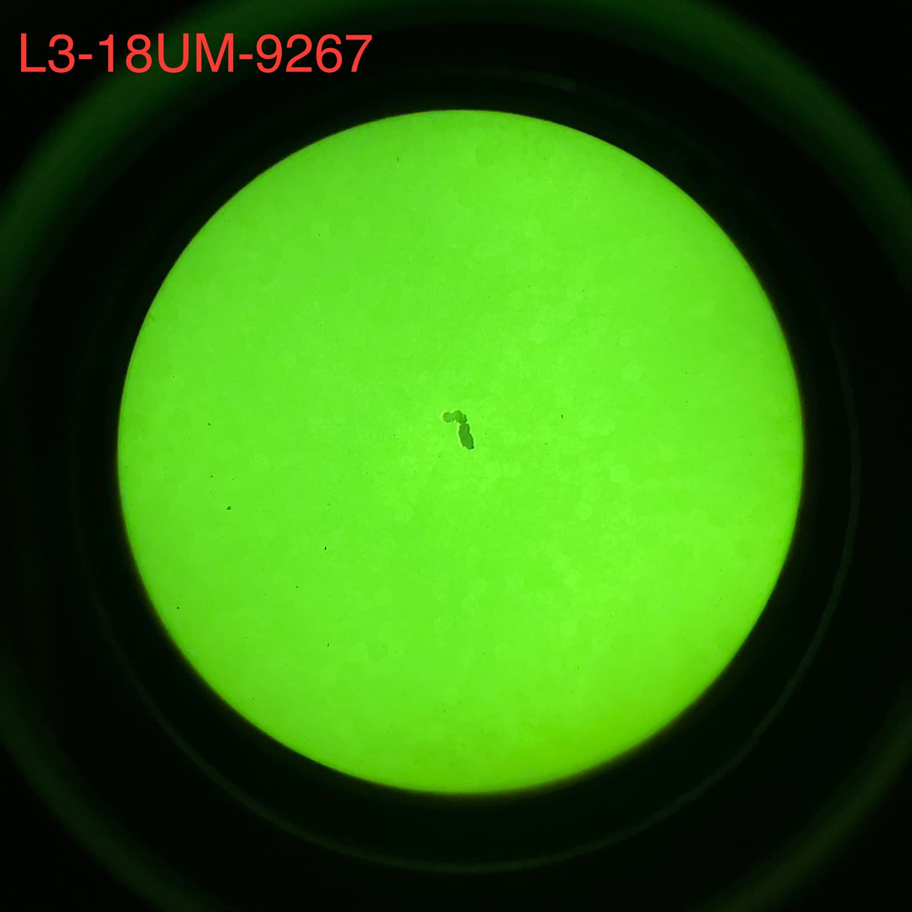 Budget Noctis PVS-14 - Green Phosphor Gen 3