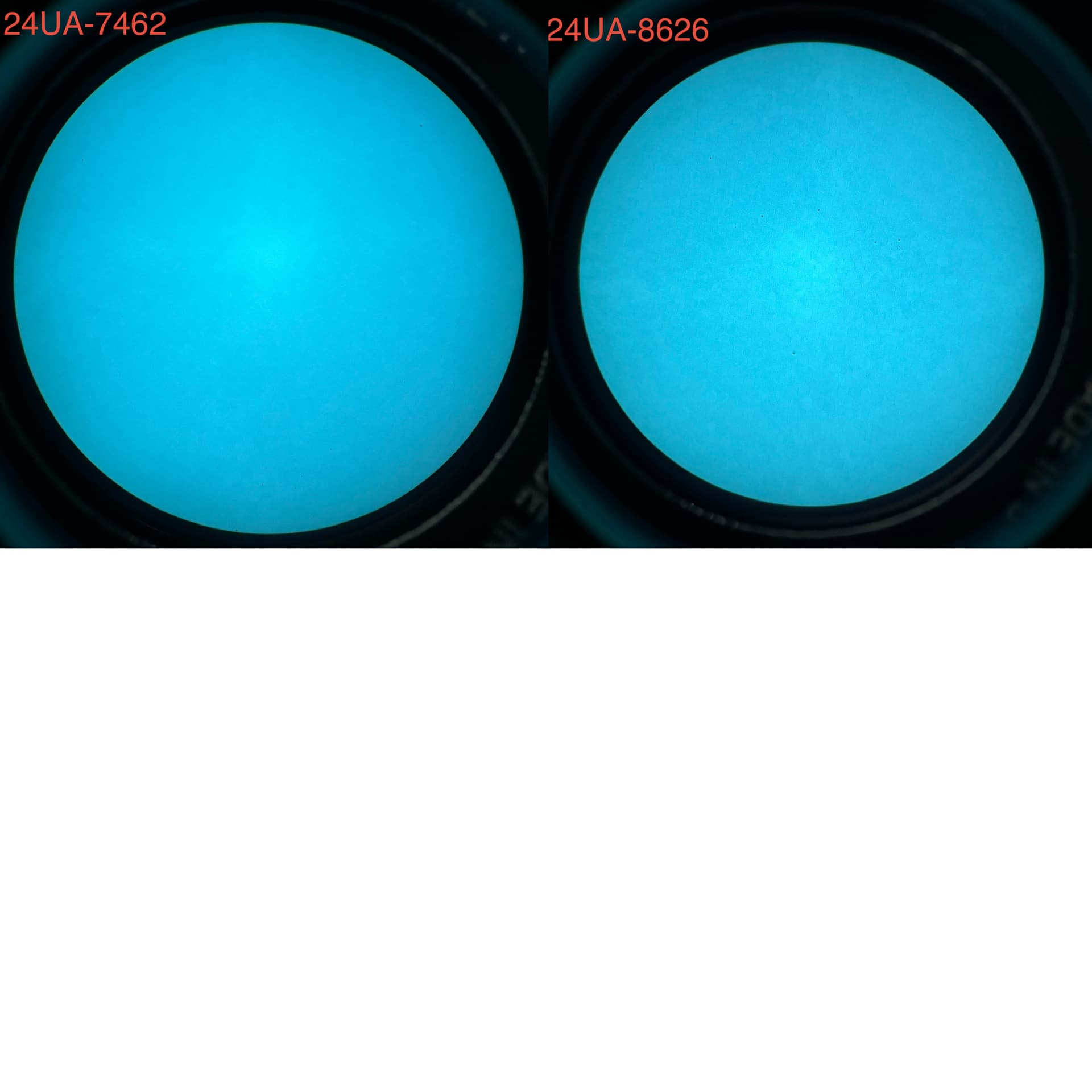 In Stock Night Vision Goggle Builder L3Harris 24UA White Phosphor