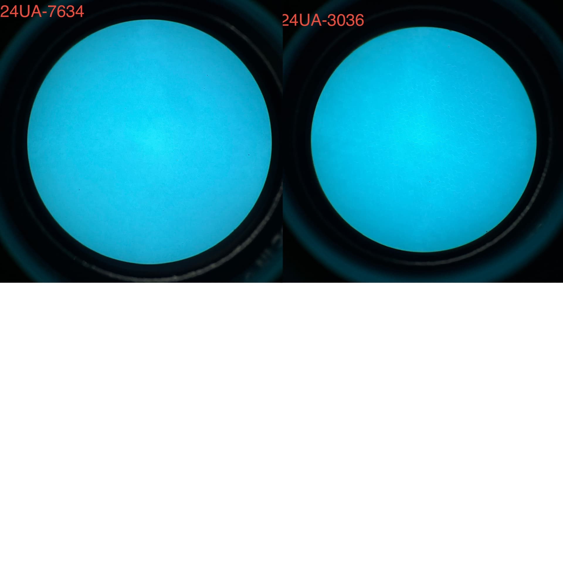 READY TO SHIP AB Night Vision RNVG-A - White Phosphor