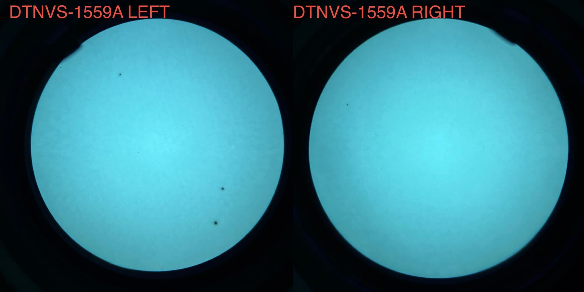 READY TO SHIP - DTNVS – White Phosphor