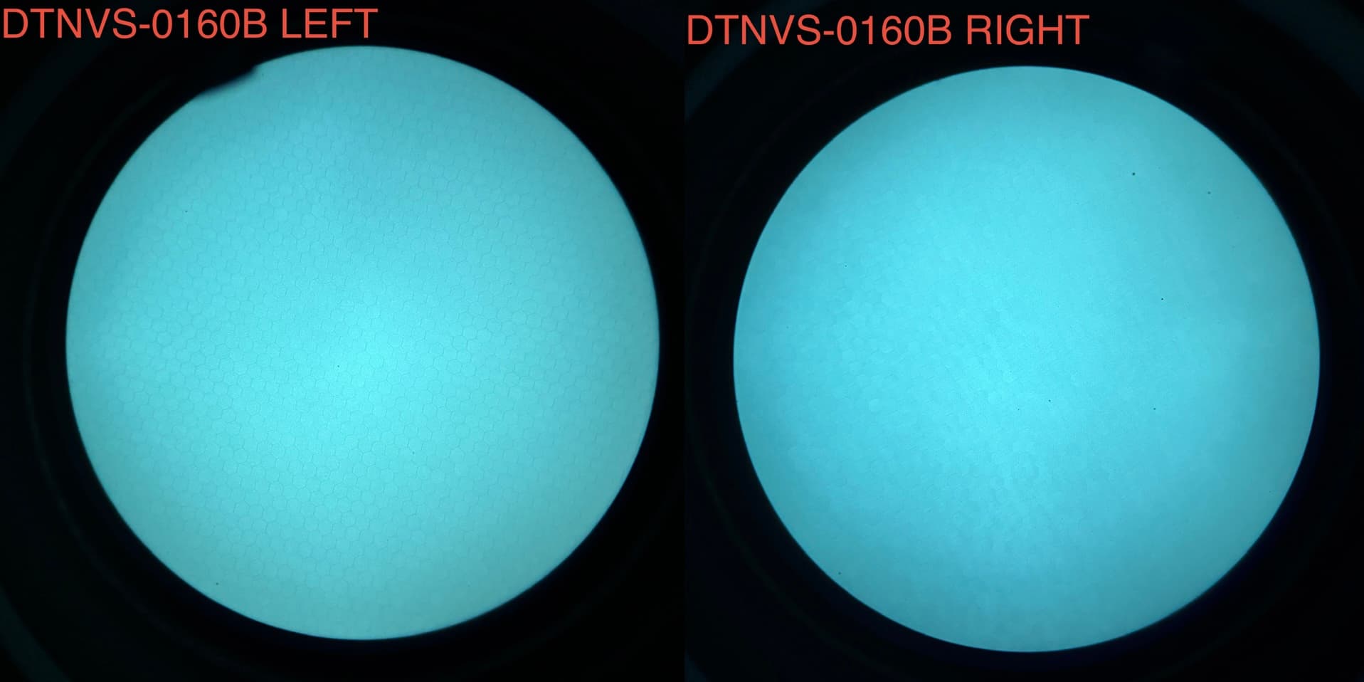 READY TO SHIP - DTNVS – White Phosphor