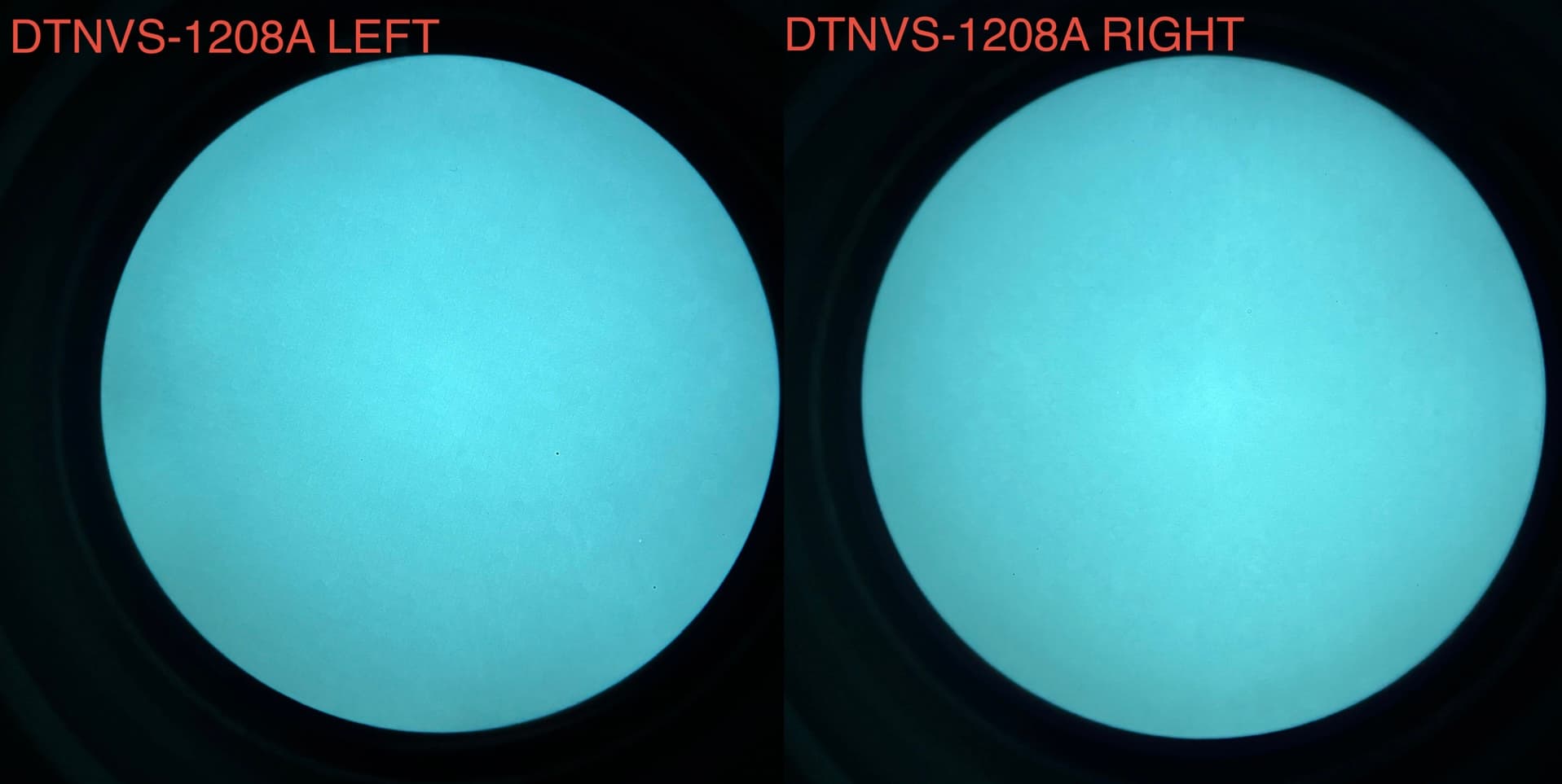 READY TO SHIP - DTNVS – White Phosphor