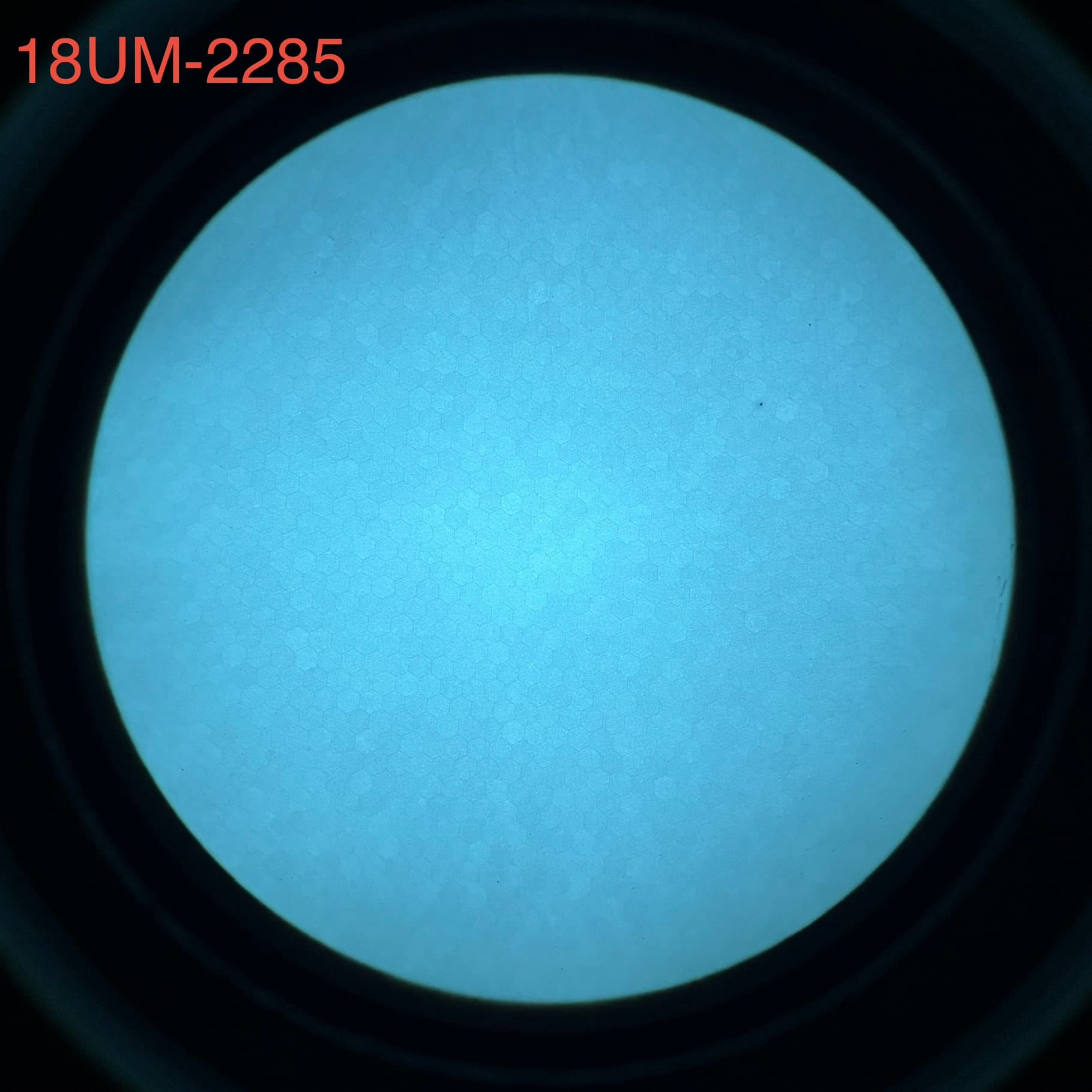 LE Trade-In PVS-14 - White Phosphor