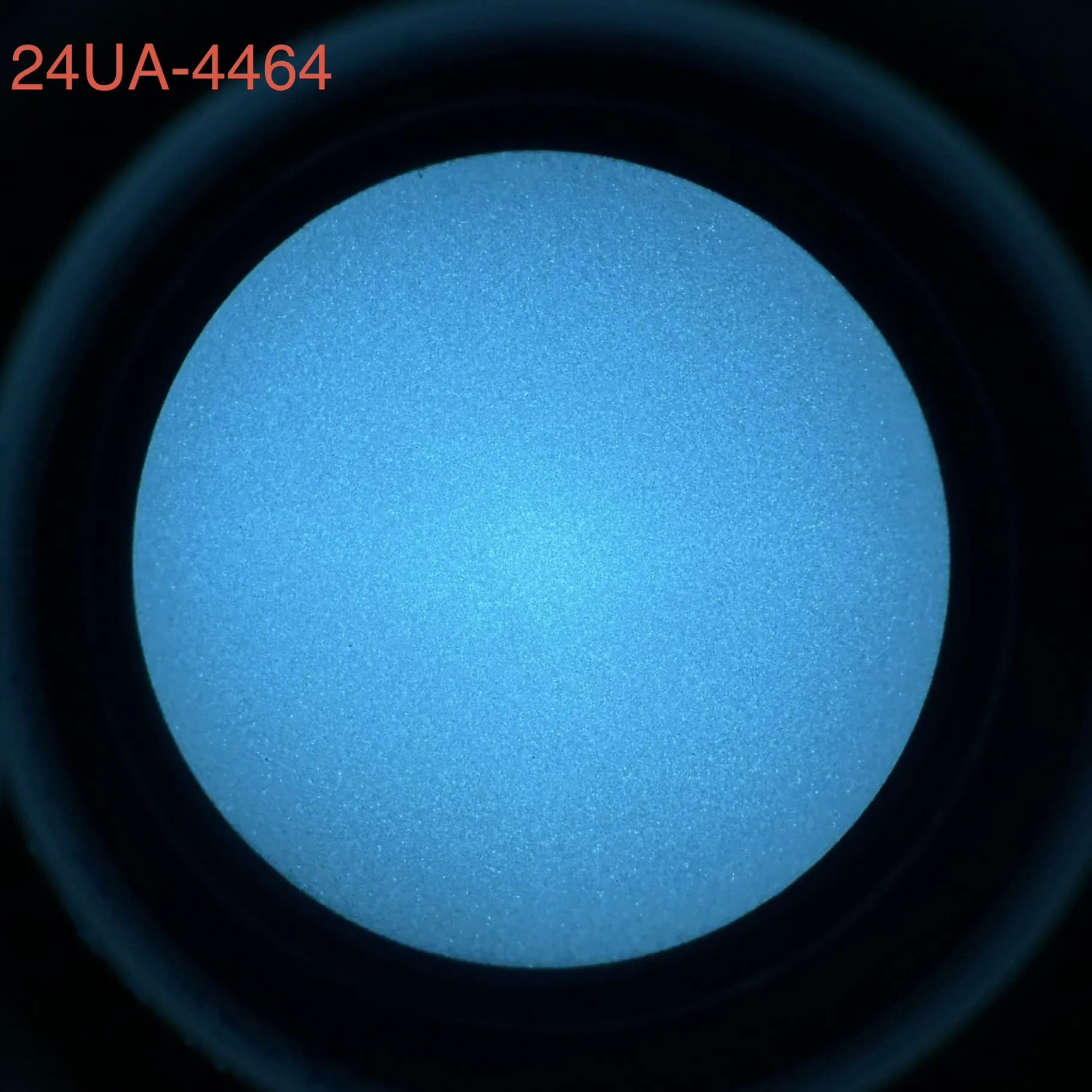 L3Harris 24UA - White Phosphor