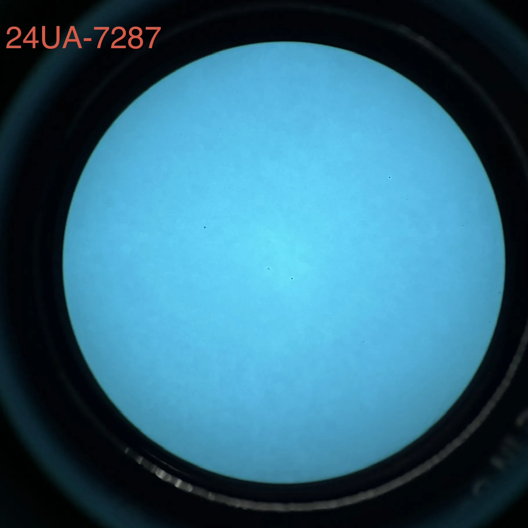 L3Harris 24UA - White Phosphor