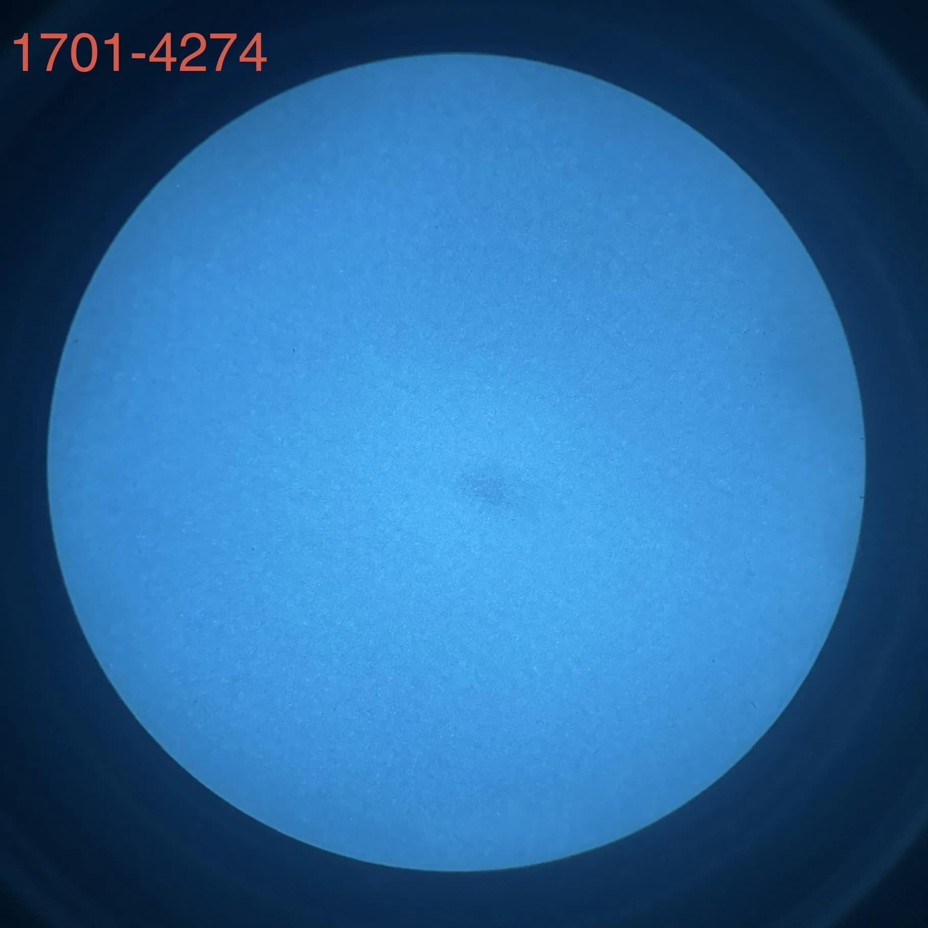 L3Harris 1701 - White Phosphor