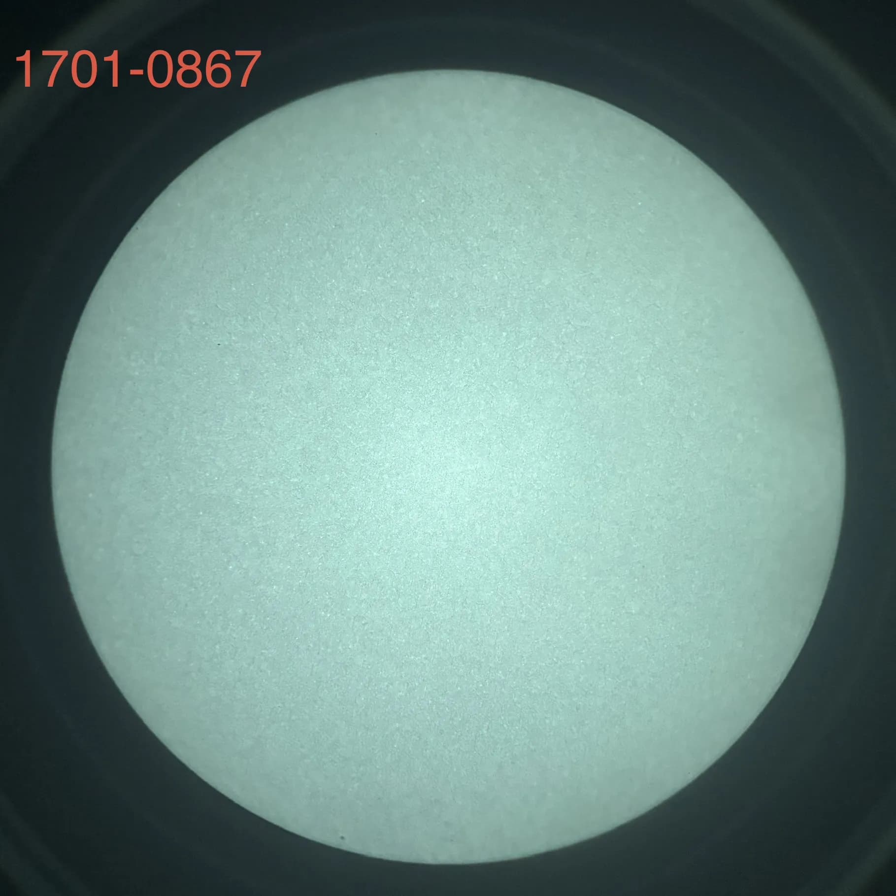 L3Harris 1701 - White Phosphor