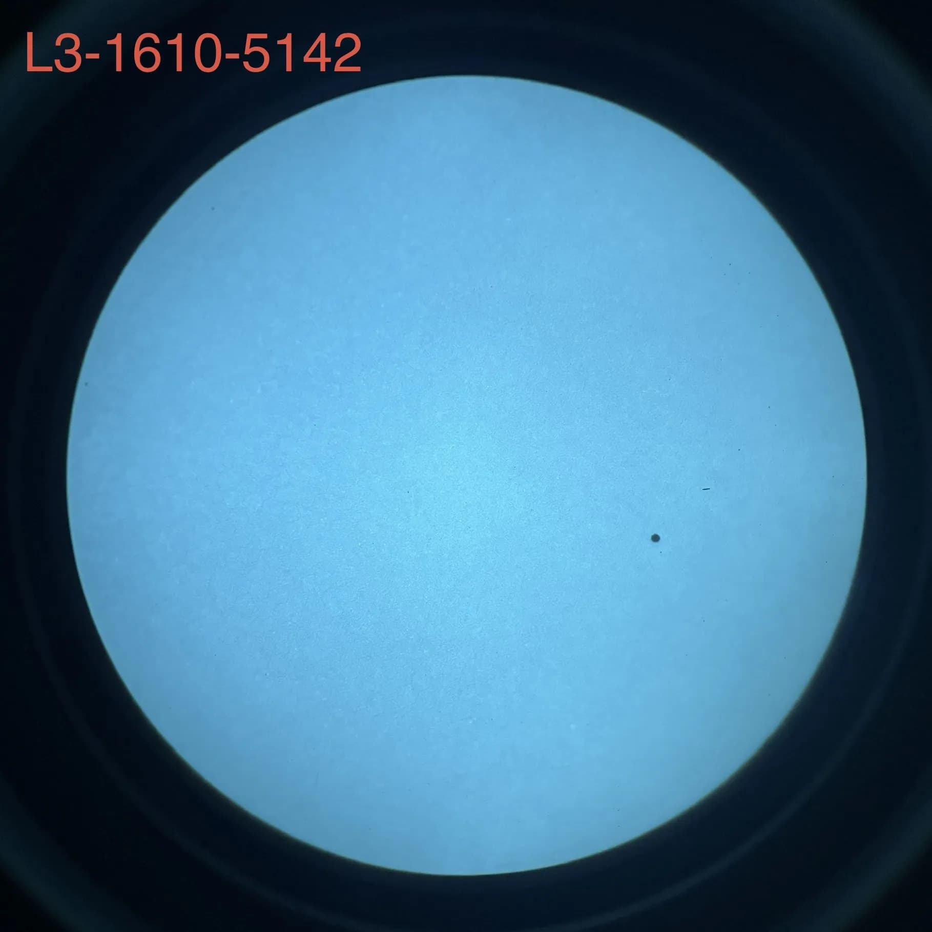 L3Harris 1610 - White Phosphor