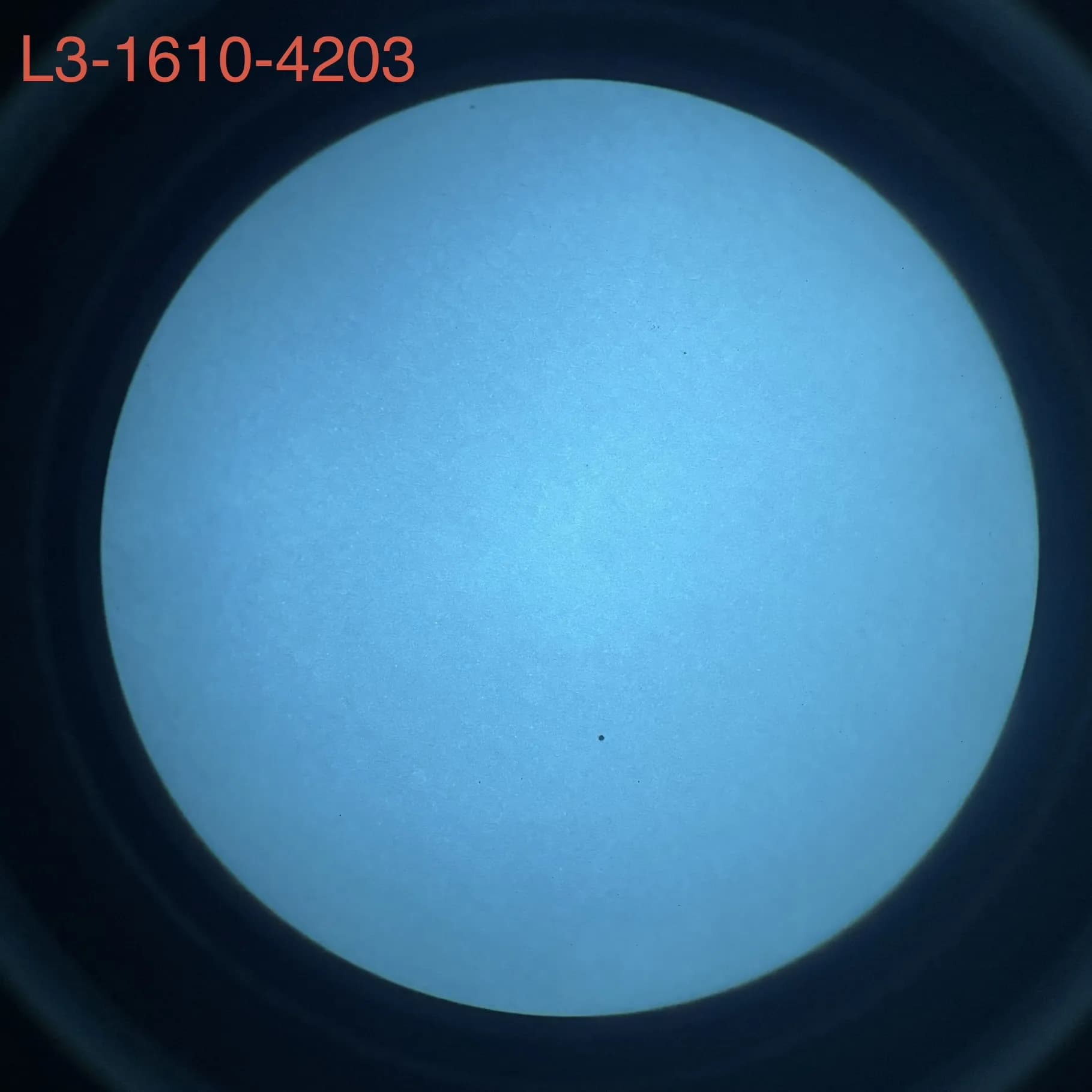 L3Harris 1610 - White Phosphor