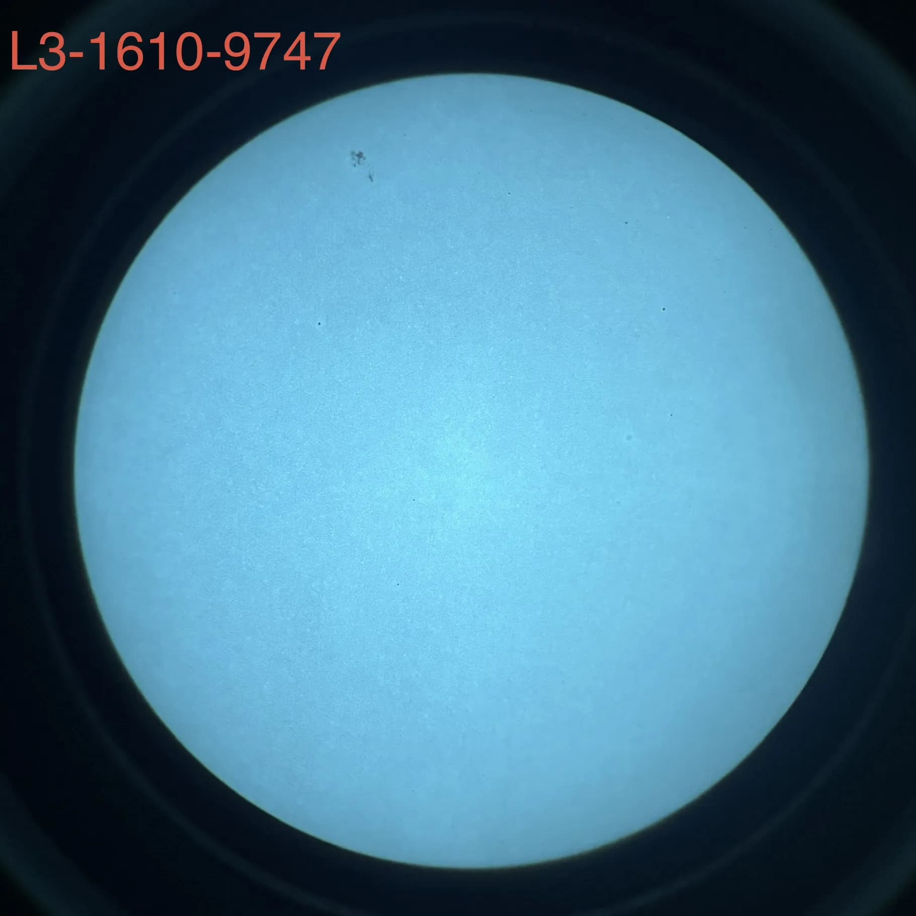 L3Harris 1610 - White Phosphor
