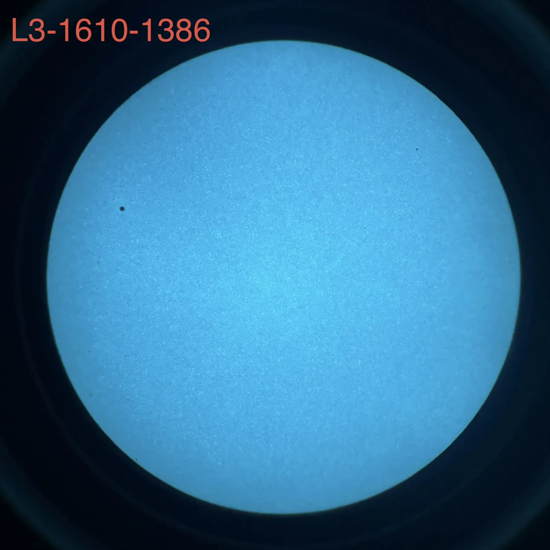 L3Harris 1610 - White Phosphor