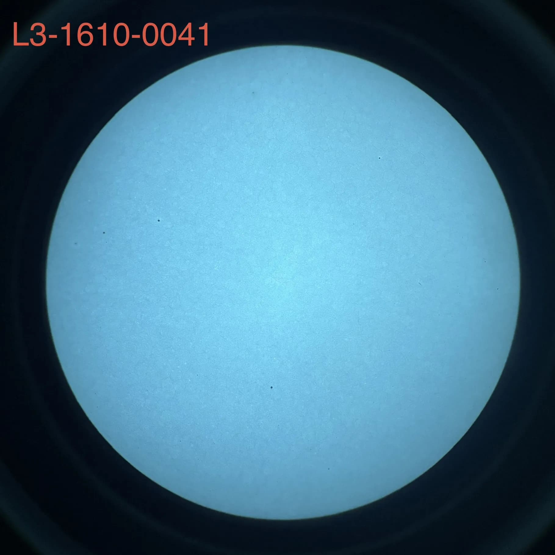 L3Harris 1610 - White Phosphor
