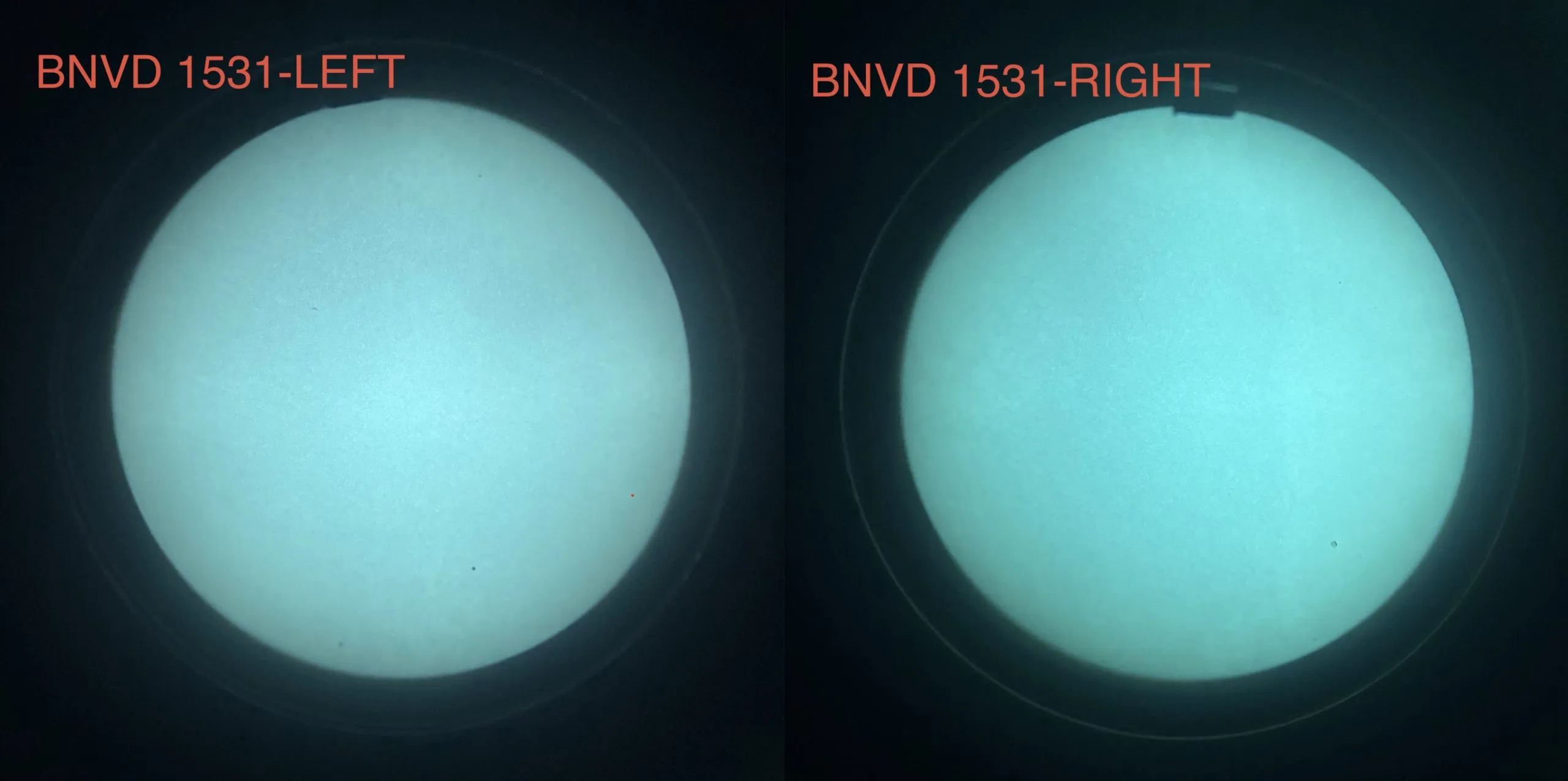 Trade in BNVD-1531