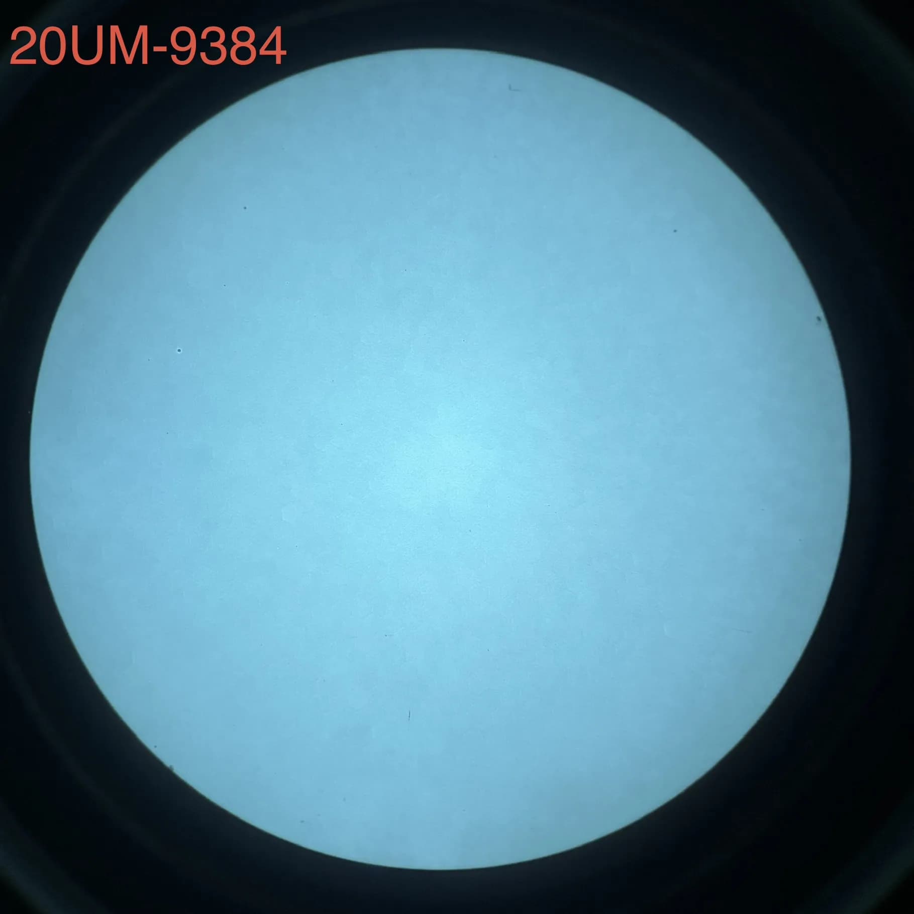 L3Harris 20UM - White Phosphor