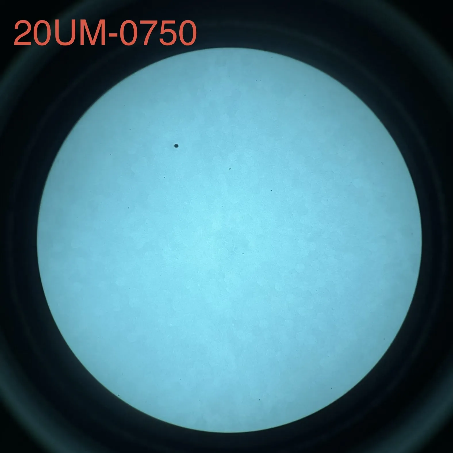 L3Harris 20UM - White Phosphor