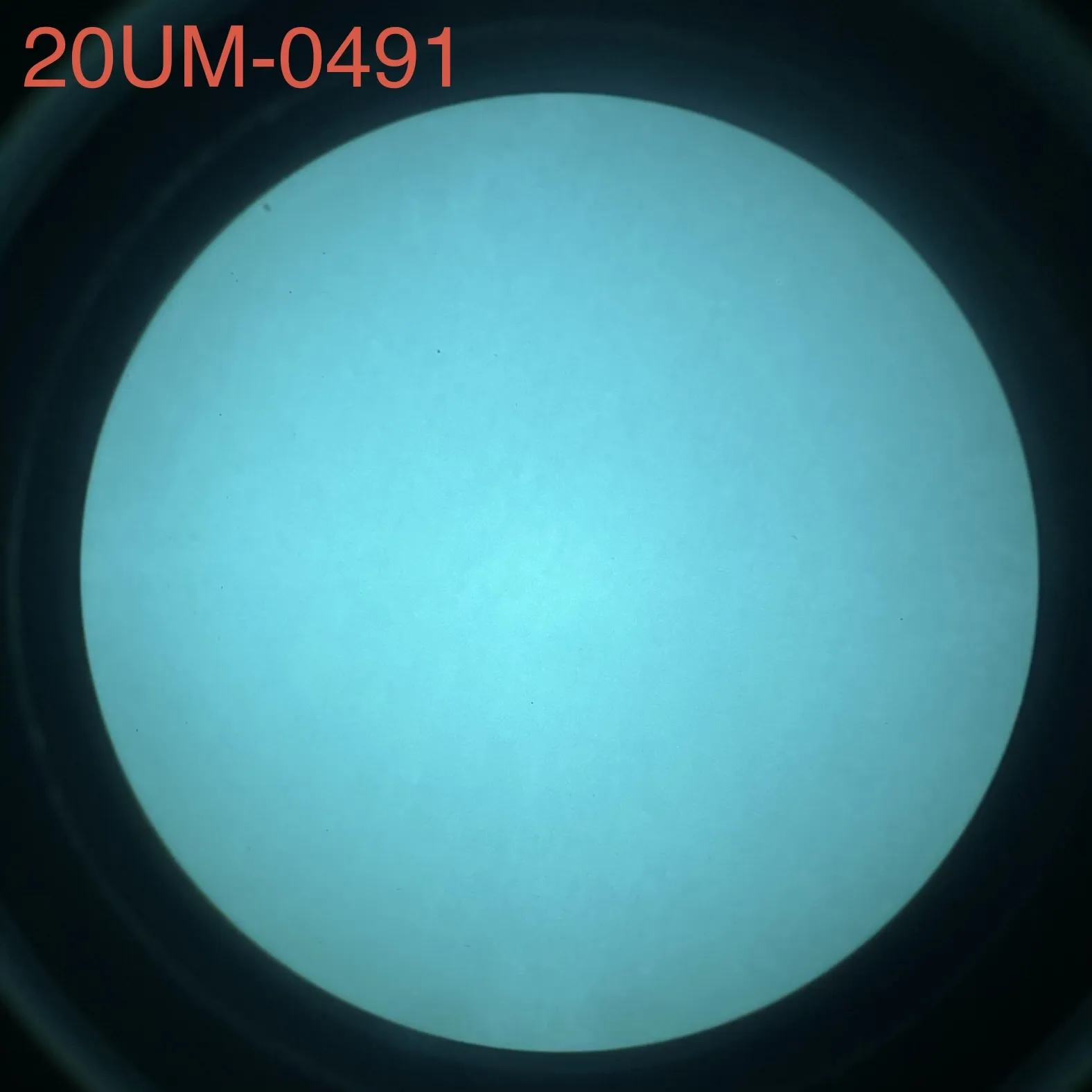 L3Harris 20UM - White Phosphor
