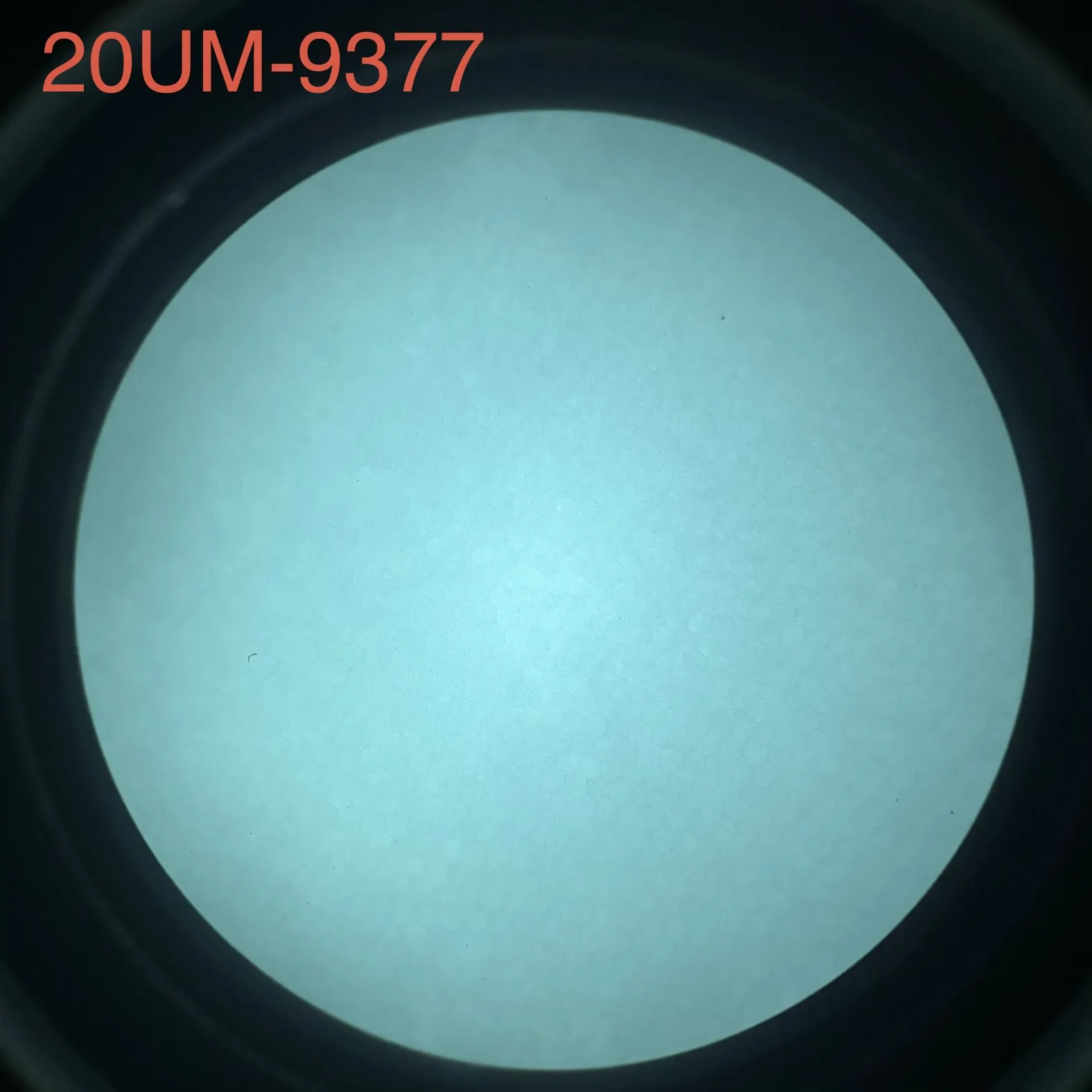 L3Harris 20UM - White Phosphor