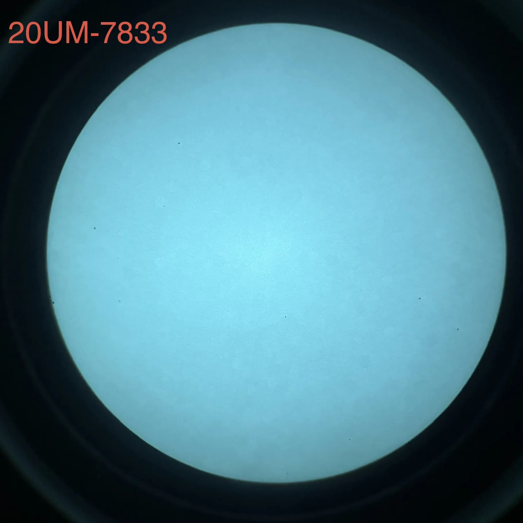 L3Harris 20UM - White Phosphor
