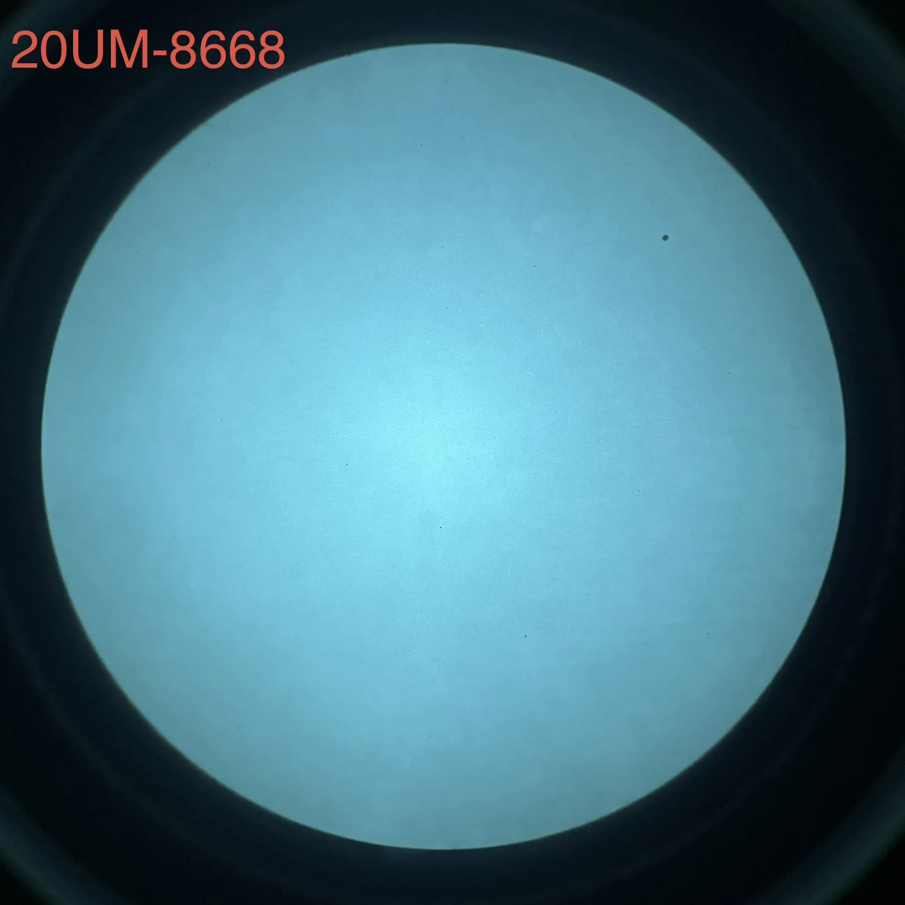 L3Harris 20UM - White Phosphor