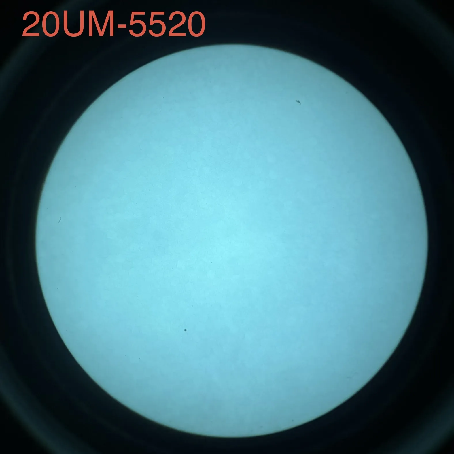 L3Harris 20UM - White Phosphor