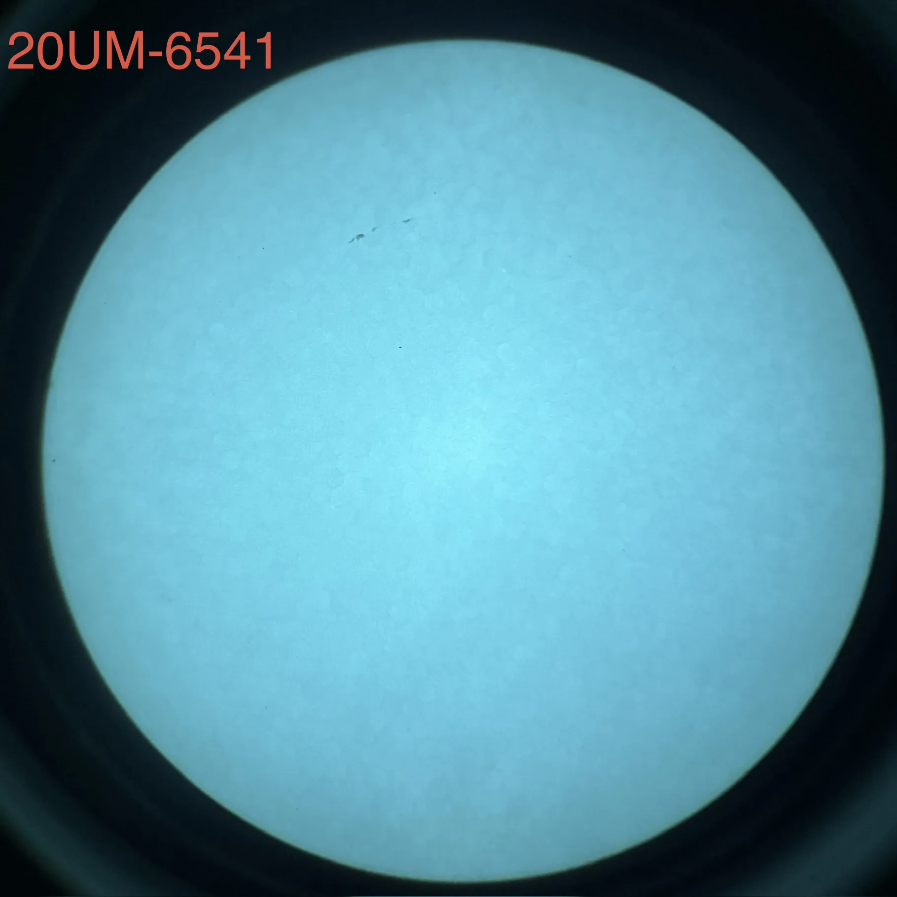 L3Harris 20UM - White Phosphor
