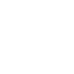 S&S Precision logo