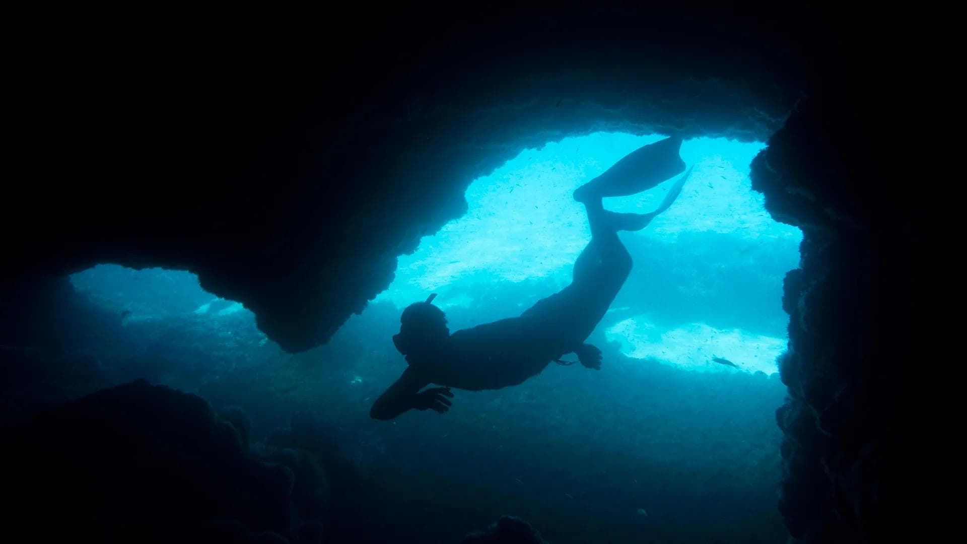Does Night Vision Work Underwater? What Divers Need to Know